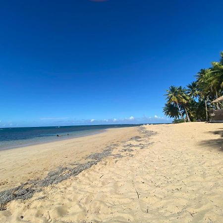 Las Terrenas Beachfront 2 Bedrooms Condo With Pool Kültér fotó