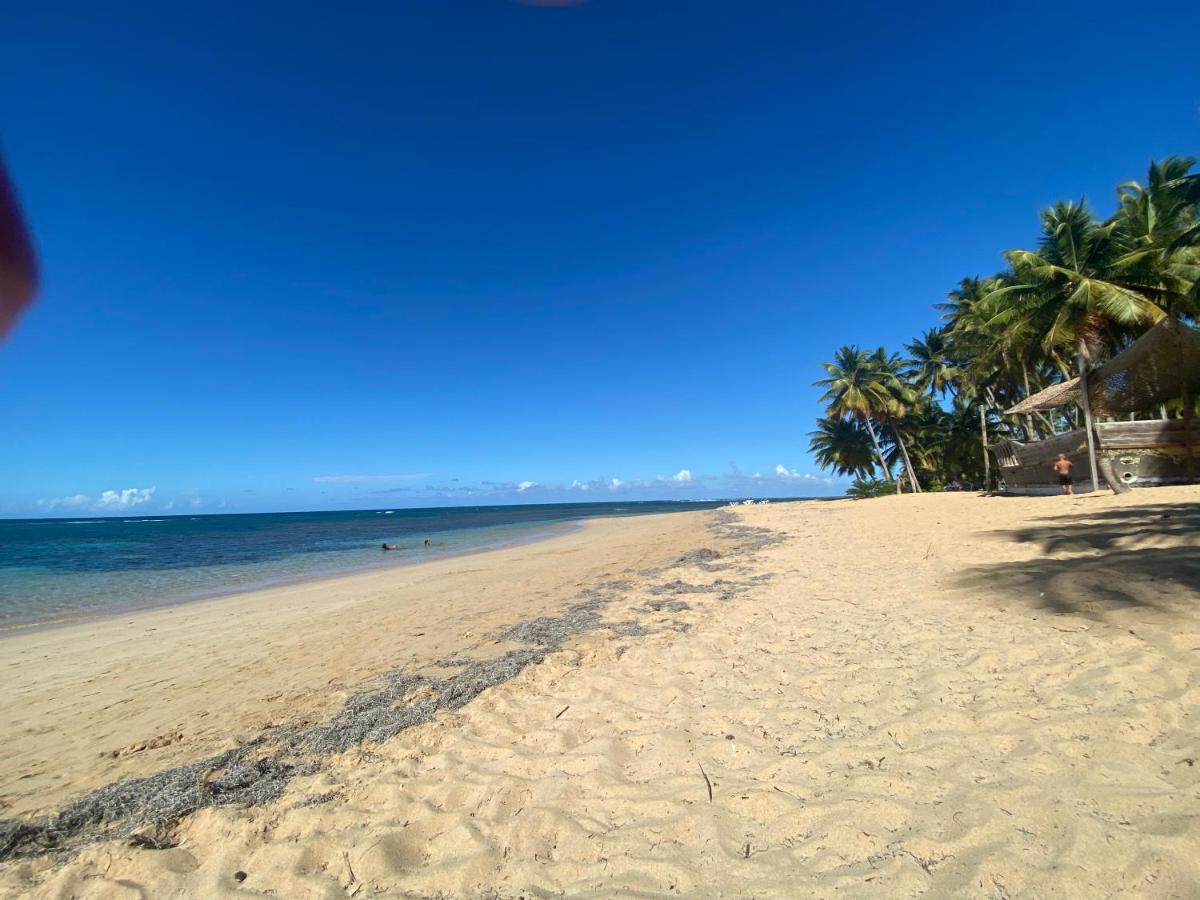 Las Terrenas Beachfront 2 Bedrooms Condo With Pool Kültér fotó